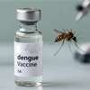 Dengue vaccine has 90% effectiveness against type 2 virus – Expert