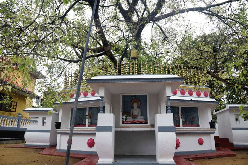 Deserted temples on Poya Day