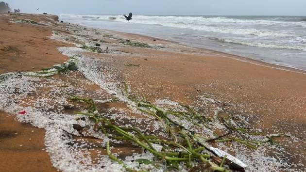 Plastic debris from sunken MSC Elsa 3 continues to wash ashore in Sri Lanka