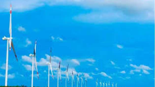 Birds to decide on Renewable Projects previously offered to Adani