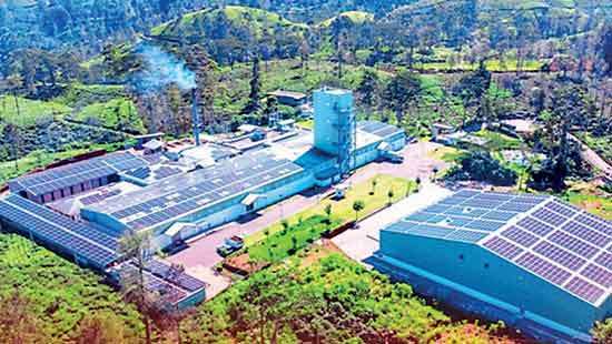 Hayleys Solar partners largest solar installation in Nuwara Eliya District