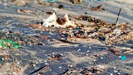 Environmental groups demand accountability for Plastic pellet pollution along Sri Lankan shores