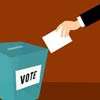 Voter turnout 20 percent in most districts