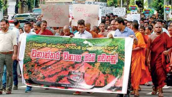 Kallaru Reforestation Paying the price for abusing nature