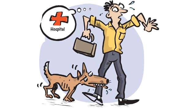 Doctors warn public not to delay Rabies treatment