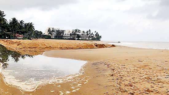 Beach nourishment threats Sri Lanka’s unique marine assets