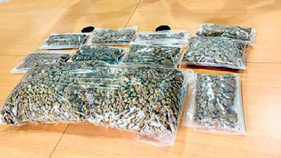 Ten parcels arrived from UK, Germany, Canada, US Kush worth Rs.23.8Mn seized at Central Mail Exchange