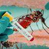 Dengue cases rise to 44,480 with 28 deaths reported this year