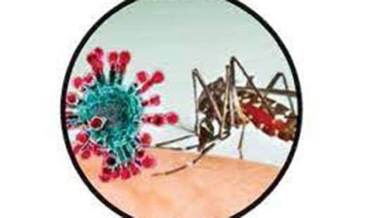 Dengue  and COVID may show similar symptoms: Medical Expert