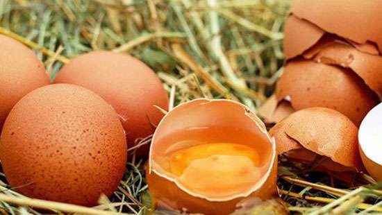 Daily consumption of eggs has increased by one million