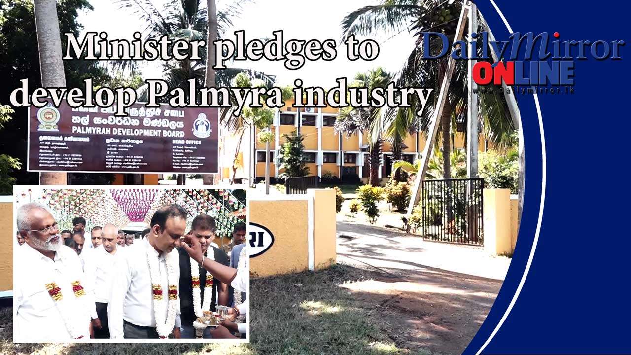 Minister pledges to develop Palmyra industry