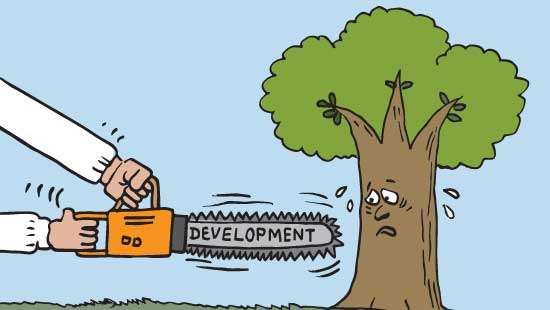 Ecocide in the guise of development