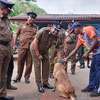 Sri Lanka acquires sniffer dogs from Netherlands for Rs. 58 Mn