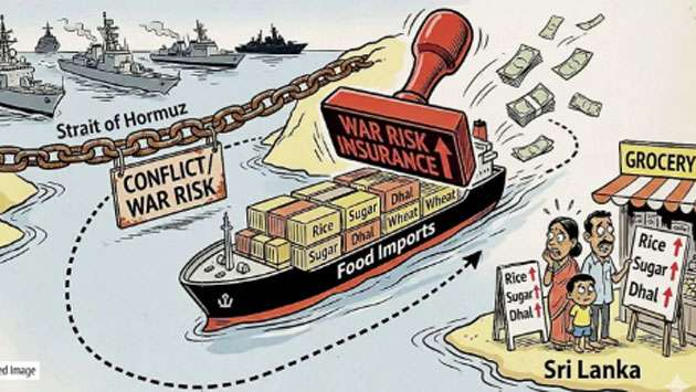 Essential food commodities’ prices bound to rise as global shipping costs increase