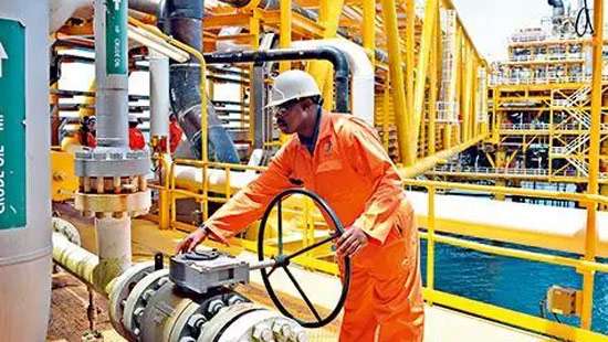 24 companies interested in petroleum business in SL: Minister