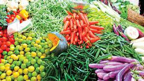 Vegetable prices slump today - Breaking News | Daily Mirror