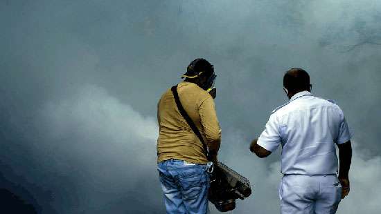 Mosquito fogging in Colombo