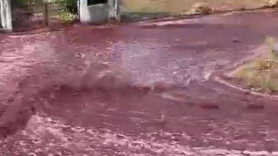 Nearly 600,000 gallons of wine wash down street in Portuguese