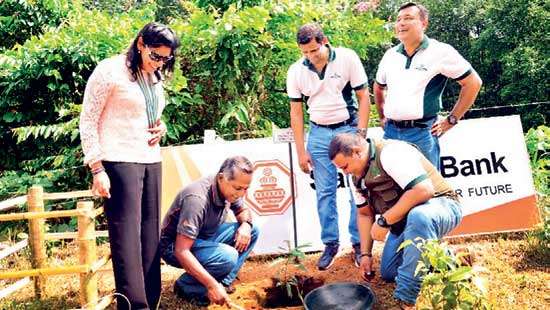 Sampath Bank, Rotary Club affirm commitment towards tackling climate change