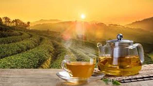 No impact on tea exports despite Middle East war