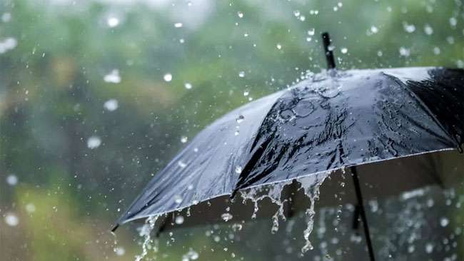 100mm heavy showers today too