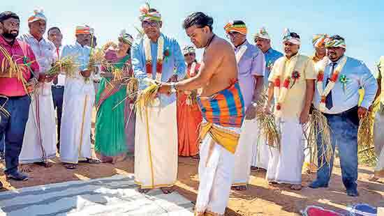 ComBank marks harvest success in Vavunathivu with Agri Modernisation Village programme