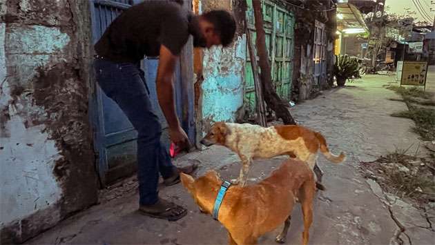 Save a life initiative boosts stray dog safety