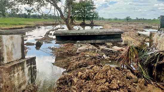 To restore devastated agrifood sector FAO seeks international support