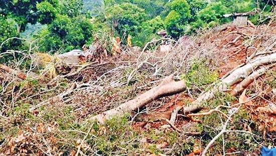 No government aid and no officials for Walapane landslide victims, 18 days on