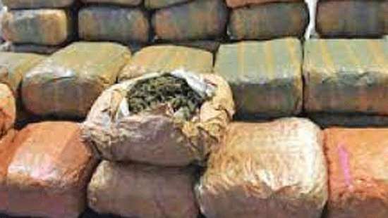 Navy seizes over 200 kg of Kerala cannabis, 3 arrested