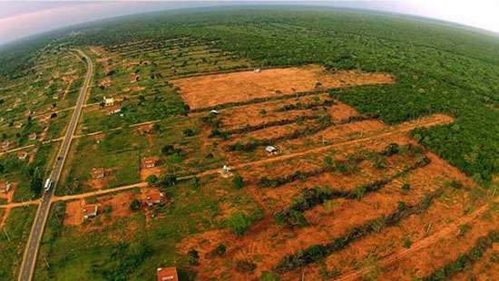 Releasing lands in Wilpathu: House receives copy of PC report
