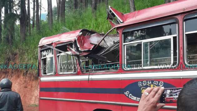 Tree falls on bus in Kandy, one killed, 10 injured