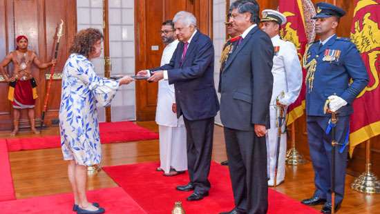 Newly appointed envoys present credentials to President