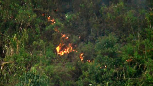 Efforts underway to contain Watawala forest fire