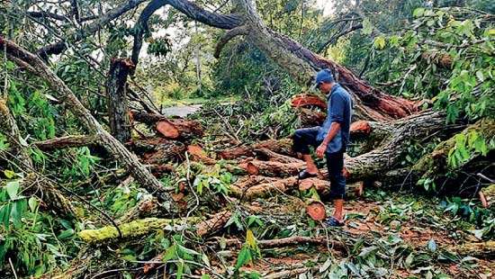 Badulla voters urged to cast ballots early due to bad weather