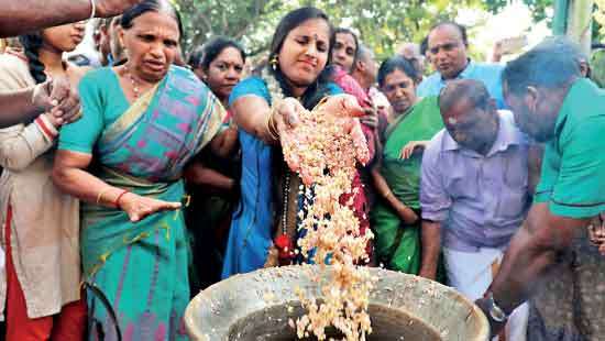 Thai  Pongal:  a festival of  happiness,  joy and prosperity