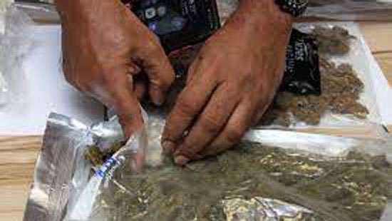 Customs seize Kush worth Rs.60 mn