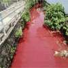 Ratmalana canal turns red – CEA says not to panic