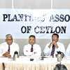 Industry fears wage hike impact on Ceylon Tea brand