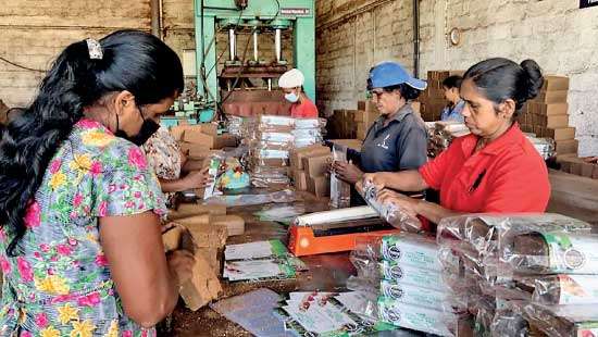 CMA Sri Lanka presents budget proposals for MSME sector promotion