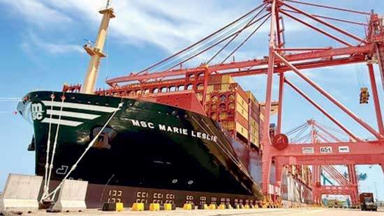 HIP clocks record container move as MSC call pushes throughput to new high