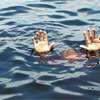 Two boys drown off Negombo beach