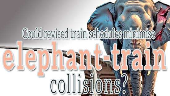 Could revised train schedules minimise   elephant-train collisions?