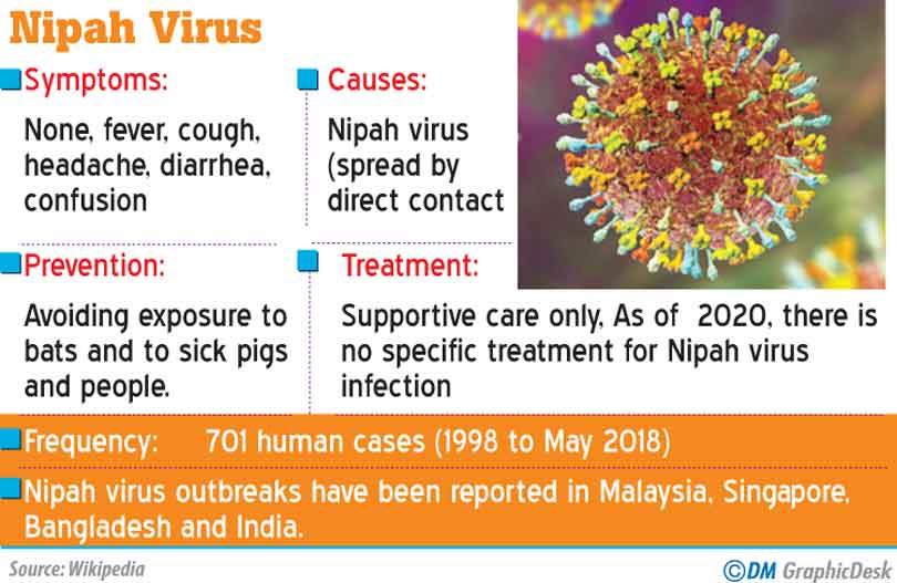 Sri Lanka alert on Nipah virus in Kerala, but rules out any threat  Daily  Mirror - Sri Lanka Latest Breaking News and Headlines - Print Edition