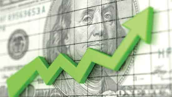 Government to  reduce  imports,  fuel usage against rising dollar