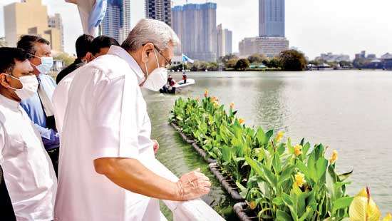 Ecological floating islands to Beira Lake