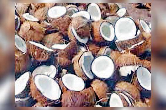 High coconut prices: No Sambol, Kiri Hodi in canteens