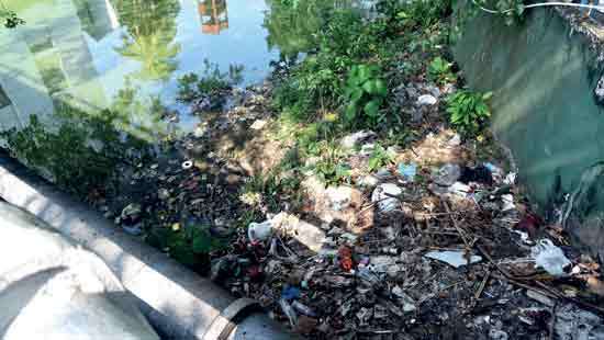 Polluted Nawala canal leaves neighbourhood in a black mood