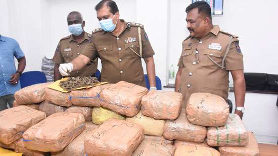 Kerala Ganja worth Rs.10 mn seized