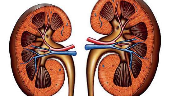 March 12 was World Kidney Day Experiences of a CKD patient